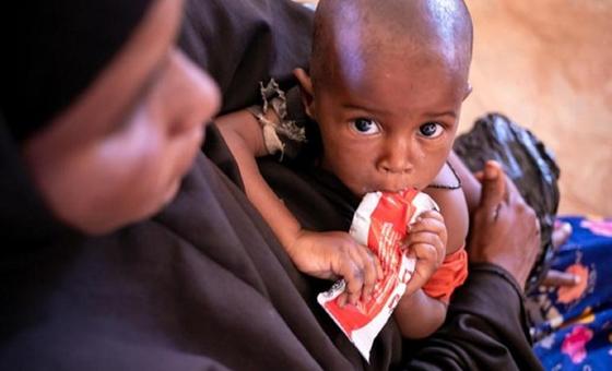 Frappée par la sécheresse et la faim, la Somalie a besoin de 2,6 milliards de dollars pour aider des millions de personnes